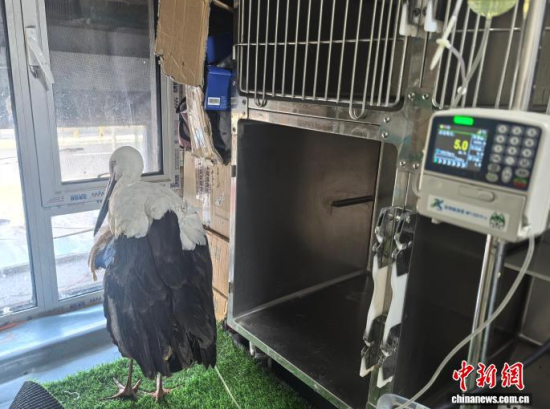 �܂��Ė|�����X���ڽ���ݔҺ�ί�����ʯ���� �z